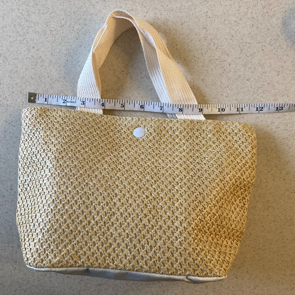 Straw Mini Tote Satchel Nip - image 8